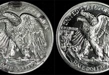 Half Dollar — Before and After